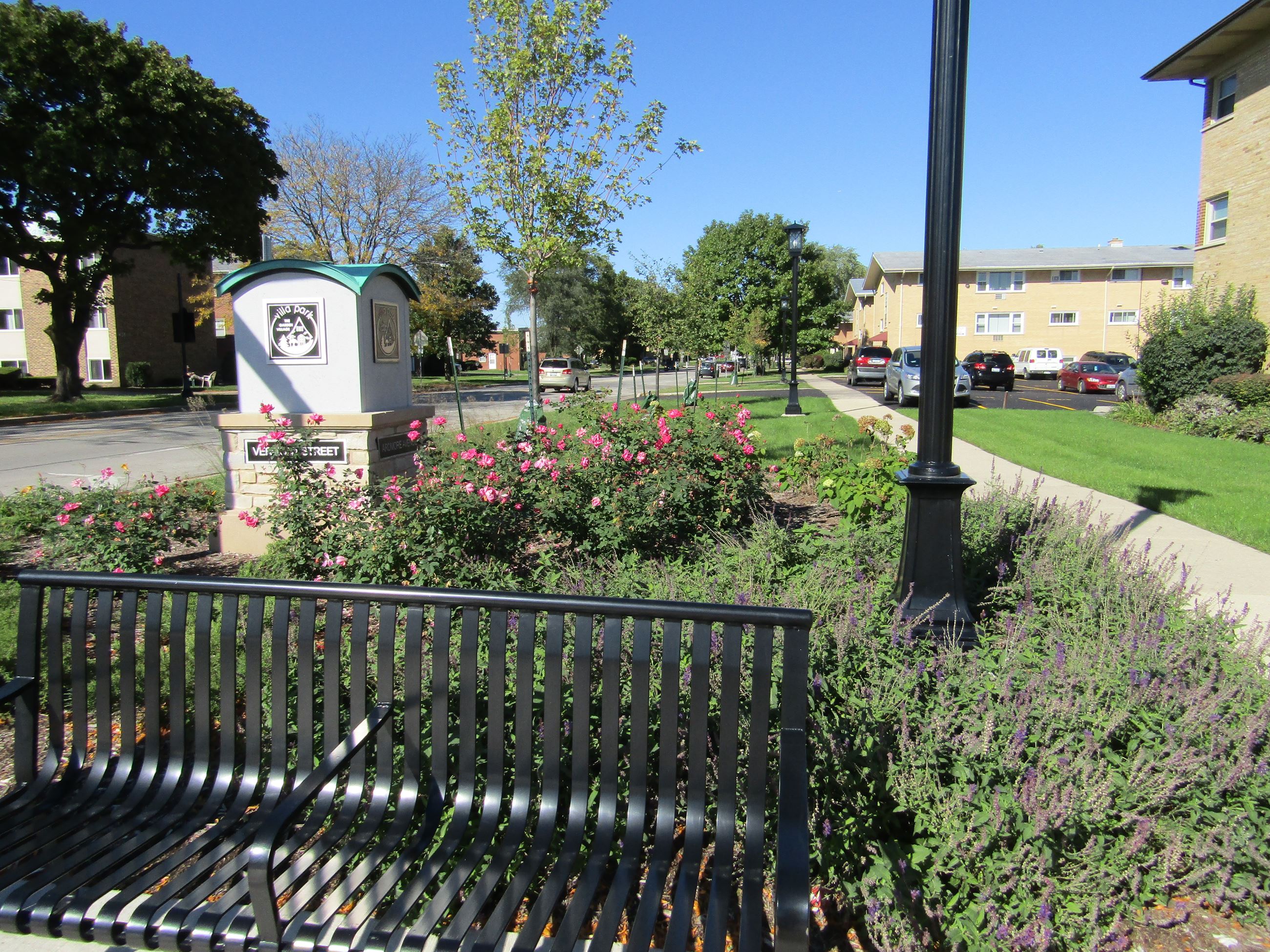 Bench by Bushes and Flowers
