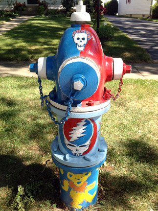 733 S Illinois - Grateful Dead