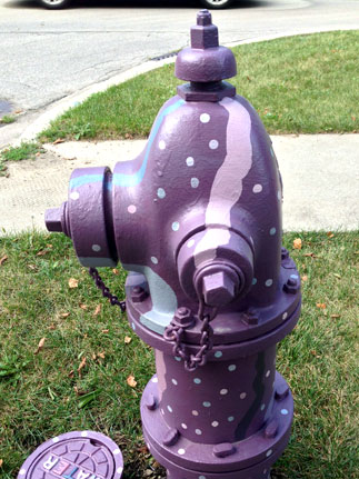 Park and Wisconsin - 15 Shades of Purple