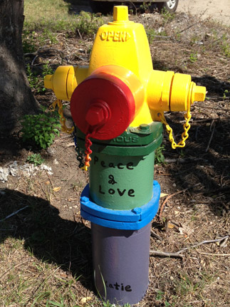 1455 S Monterey - Peace