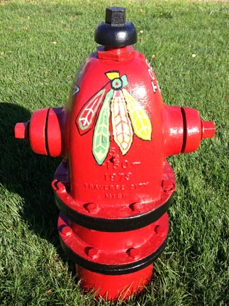 515 E. Van Buren - Blackhawks