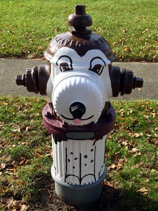 646 S. Euclid - Beagle